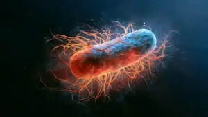 Magnetotactic Bacteria Linked to Extended Lifespan and Ferroptosis Inhibition in Groundbreaking Study