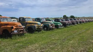 Minnesota Collector to Auction Massive Vintage Vehicle and Truck Rescue Collection