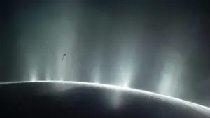 Natural Ice-Sorting Process Explains Chemical Diversity in Enceladus’ Ocean Plumes