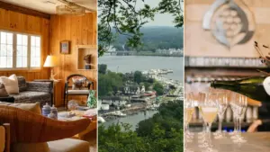 Saugatuck’s Art Coast Prepares for Inaugural Food & Wine Festival This November