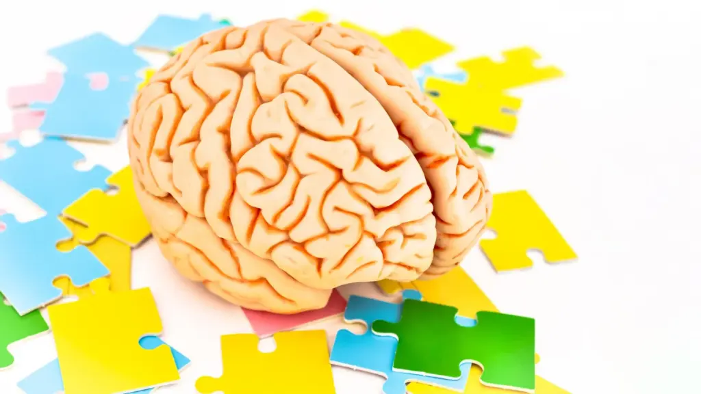 Who Is Being Diagnosed? New Research Reveals Shift in ADHD and Autism Profiles Over the Last Decade