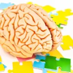 Who Is Being Diagnosed? New Research Reveals Shift in ADHD and Autism Profiles Over the Last Decade