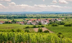 A Quiet German Hamlet Becomes a Global Culinary Destination Following Three-Star Michelin Milestone