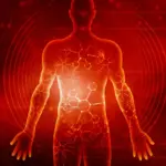 Beyond Weight Loss: New Research Reveals the Molecular Threshold of Prolonged Fasting