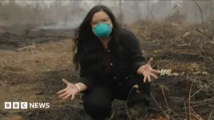 Indonesia Battles Worst Wildfire Season in a Decade as Toxic Haze Engulfs the Region
