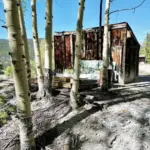 Real Estate and Housing