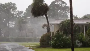 State of Emergency Declared as Tropical Storm Isaias Threatens the Gulf Coast and Southeast