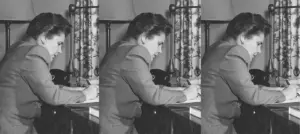 THE BEST OF THE LITERARY INTERNET