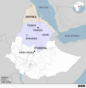 Tigray Rebel Forces Withdraw from Mekelle as Fighting Intensifies in Northern Ethiopia
