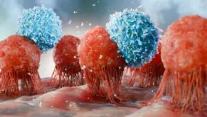 USC Scientists Unlock Renewable Source of Cancer-Fighting Immune Cells