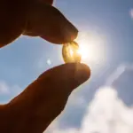 Vitamin D2 Supplements May Lower Crucial Vitamin D3 Levels, Study Finds